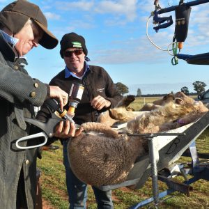 Jodie delivering a dose of NumOcaine