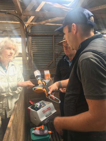 Rae & Lindsay Young Taz - 5 of 7