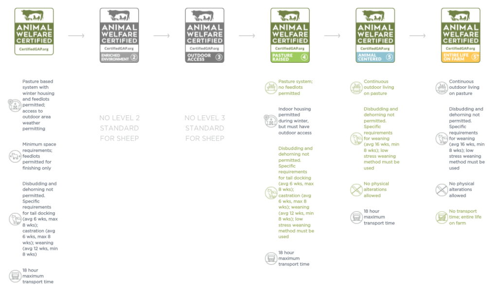 Animal Welfare GAP Global Animal Partnership Standards Sheep Pain Relief