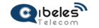 ibeles telecom logo