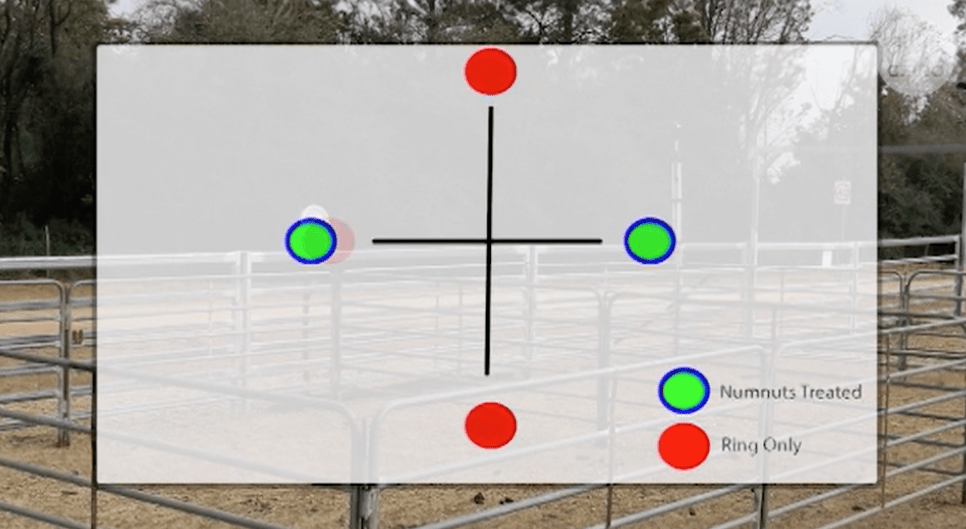 On farm numnuts extended producer trials 2021 run by CSRIO