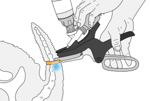 Numnuts® for taildocking diagram. Numnuts delivers local anaesthetic in combination with an Elastrator rubber ring