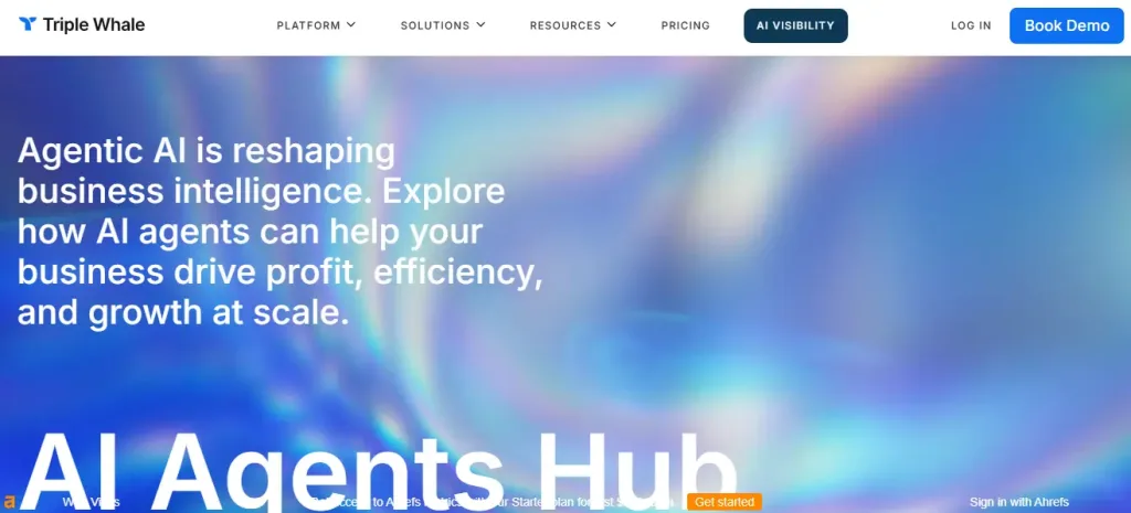 Triple Whale Moby Agents are backend data and marketing intelligence agents